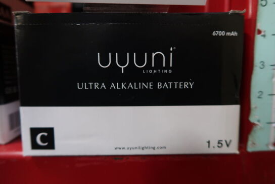 6 pk. Uyuni Lighting C batterier 2 Stk.