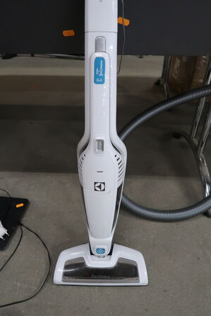 SUPPLY SUGGESTER Electrolux Ergorapido Classic