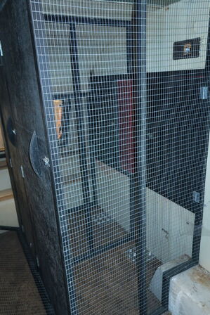 Campingvogn HOME-CAR (ombygget til at huse dyr)(momsfri)