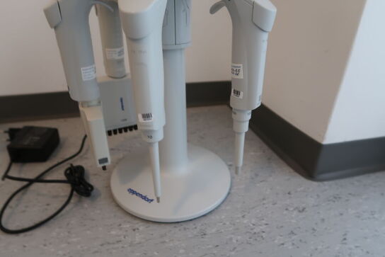 Stativ med 4 stk. pipetter EPPENDORF