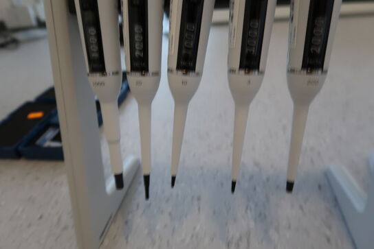 Stativ med 5 stk. pipetter SARTORIUS