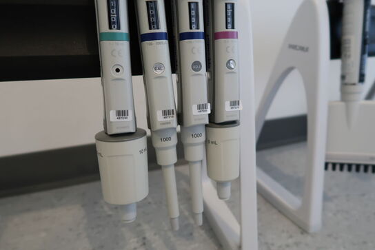 Stativ med 4 stk. pipetter EPPENDORF