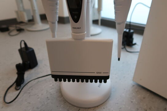 Stativ med 4 stk. pipetter SARTORIUS