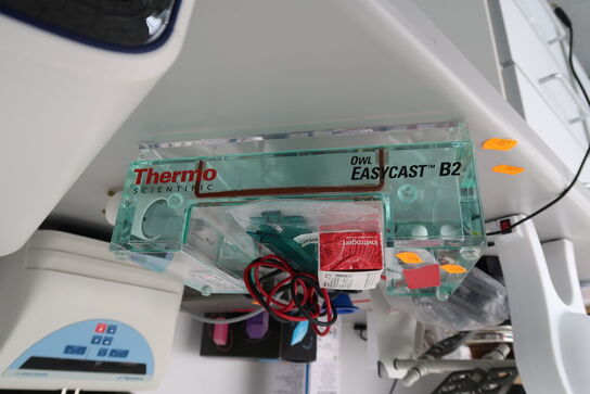 Mini Gel Electrophoresis Systems THERMO SCIENTIFIC Owl EasyCast B2