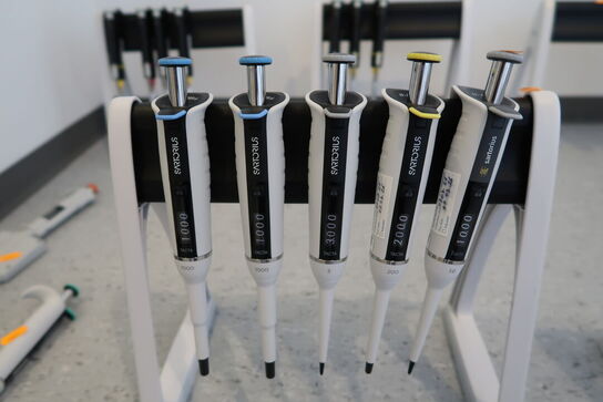 Stativ med 5 stk. pipetter SARTORIUS