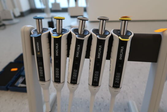 Stativ med 5 stk. pipetter SARTORIUS