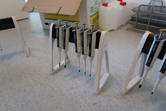 Stativ med 5 stk. pipetter SARTORIUS