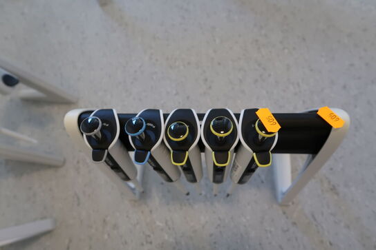 Stativ med 5 stk. pipetter SARTORIUS