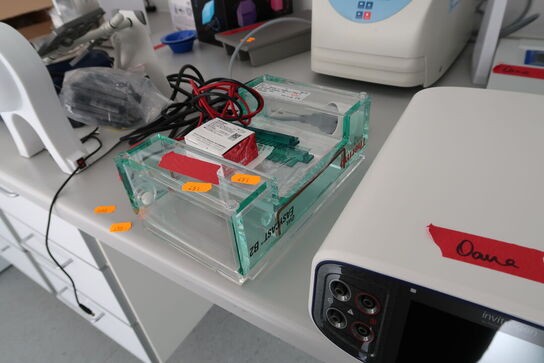 Mini Gel Electrophoresis Systems THERMO SCIENTIFIC Owl EasyCast B2