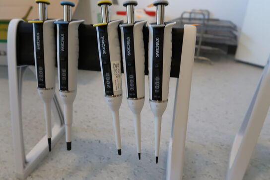 Stativ med 5 stk. pipetter SARTORIUS