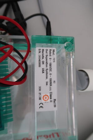 Mini Gel Electrophoresis Systems THERMO SCIENTIFIC Owl EasyCast B2