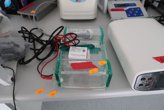 Mini Gel Electrophoresis Systems THERMO SCIENTIFIC Owl EasyCast B2