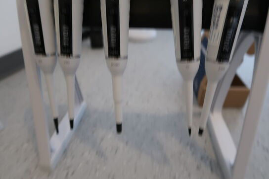 Stativ med 5 stk. pipetter SARTORIUS