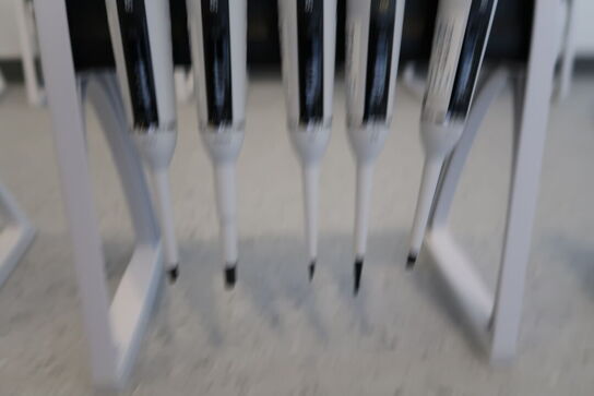 Stativ med 5 stk. pipetter SARTORIUS