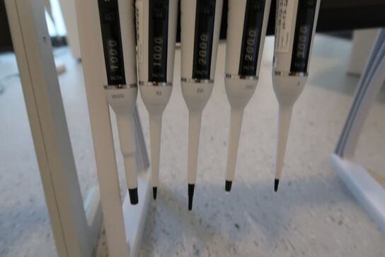 Stativ med 5 stk. pipetter SARTORIUS