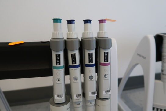 Stativ med 4 stk. pipetter EPPENDORF