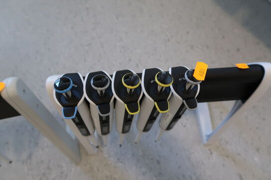 Stativ med 5 stk. pipetter SARTORIUS