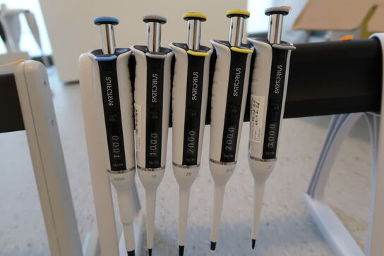 Stativ med 5 stk. pipetter SARTORIUS