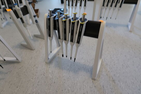 Stativ med 5 stk. pipetter SARTORIUS