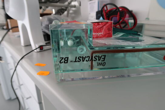 Mini Gel Electrophoresis Systems THERMO SCIENTIFIC Owl EasyCast B2