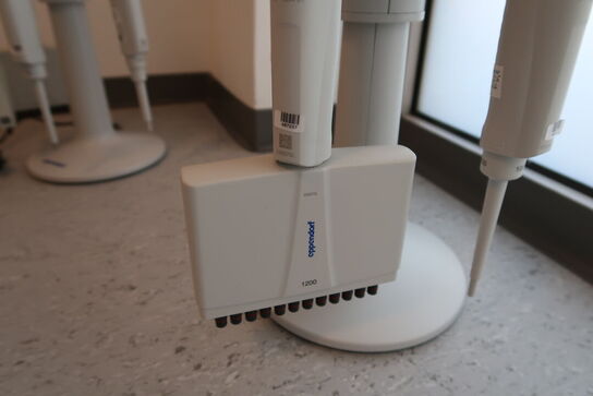 Stativ med 4 stk. pipetter EPPENDORF