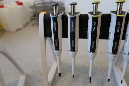 Stativ med 5 stk. pipetter SARTORIUS