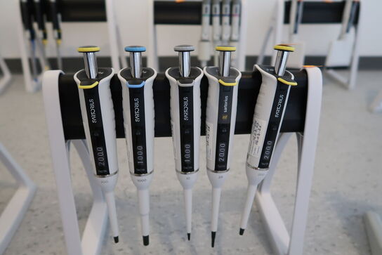 Stativ med 5 stk. pipetter SARTORIUS