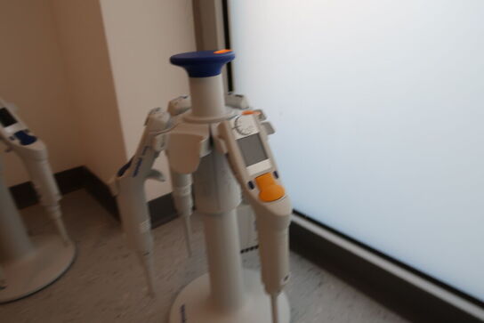 Stativ med 4 stk. pipetter EPPENDORF