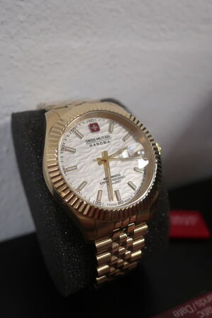 Herreur SWISS MILITARY Master Diligenter 41 mm. 