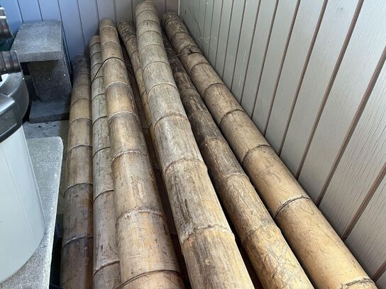 Parti bambusstænger