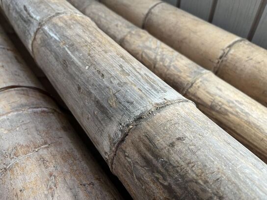 Parti bambusstænger