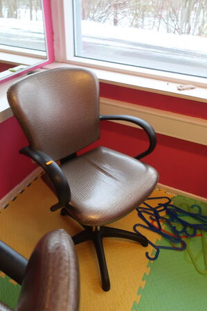 2 stk. salonstole, spejl samt vogn