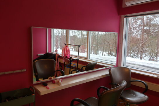 2 stk. salonstole, spejl samt vogn