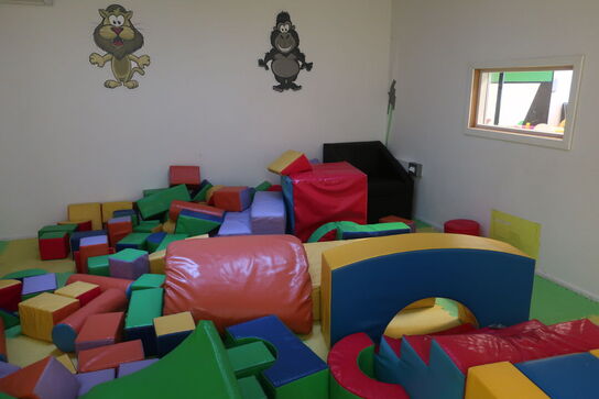 Alt skumlegetøj i rummet