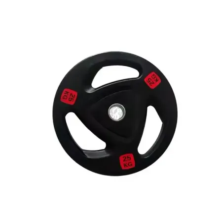 2 stk. 25 kg vægtskiver