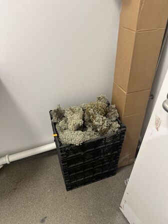 "Tøm rummet" - Se billeder