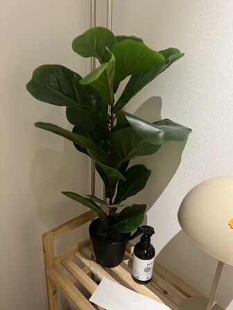 Stol, bord, reol m.v.