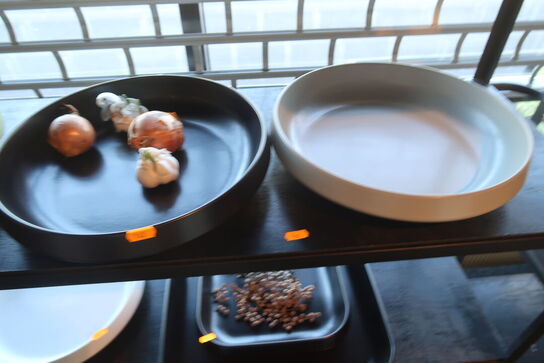 9 stk. skåle og fade EMILE HENRY