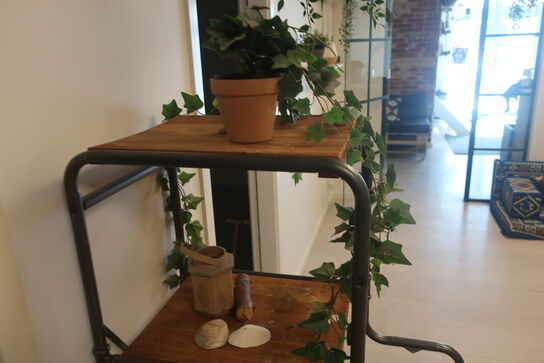 Reol med indhold / hylder med indhold / plante m.m.