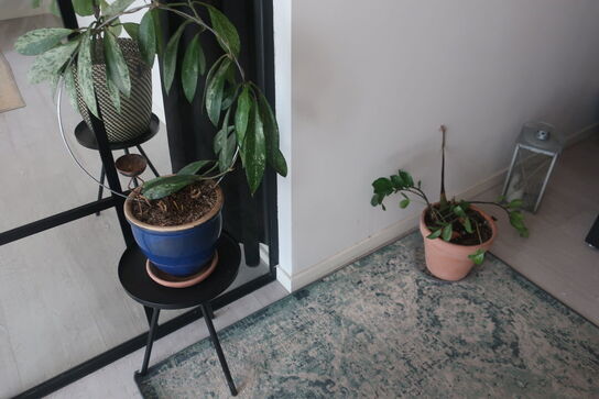 Diverse planter og krukker m.m.