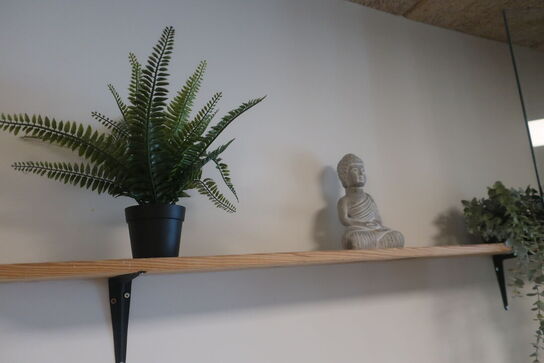 Reol med indhold / hylder med indhold / plante m.m.