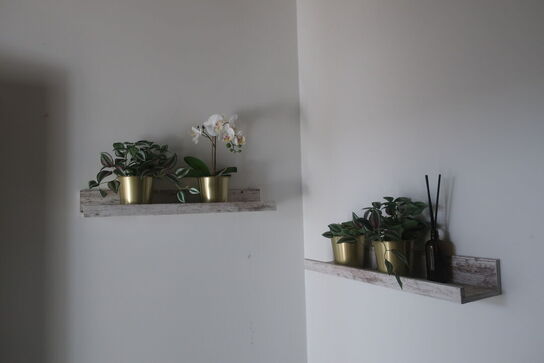 Reoler / planter m.m.