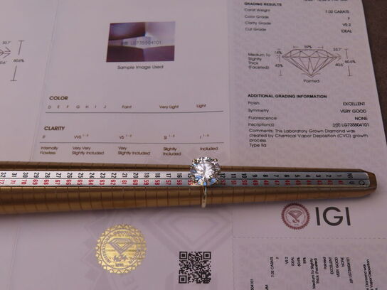 14 kt. Guldring med 7.02 ct. Briliantsleben Diamant