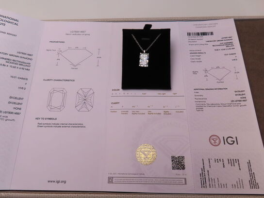 14 kt. Hvidguldhalskæde med 10.01 ct. Briliantsleben Diamant