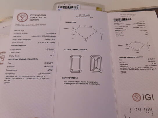 14 kt. Guldring med 9.12 ct. Emeraldsleben Diamanter