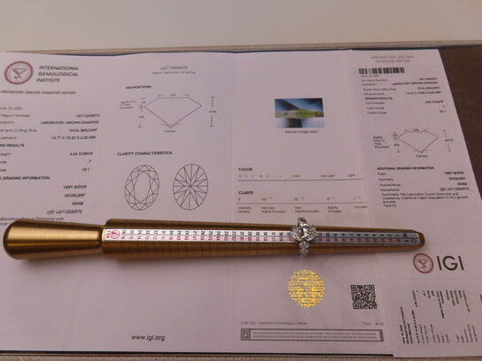 14 kt. Hvidguldring med 7.05 ct. Briliantsleben Diamant