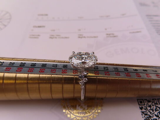 14 kt. Hvidguldring med 2.83 ct. Briliantsleben Diamant