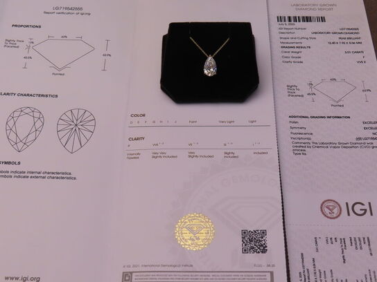 14 kt. Guldhalskæde med 3.01 ct. Briliantsleben Diamant