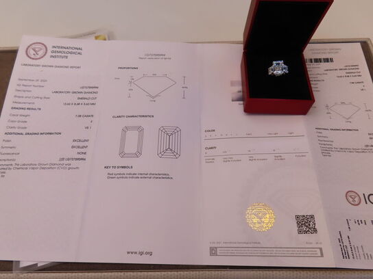 14 kt. Guldring med 9.12 ct. Emeraldsleben Diamanter