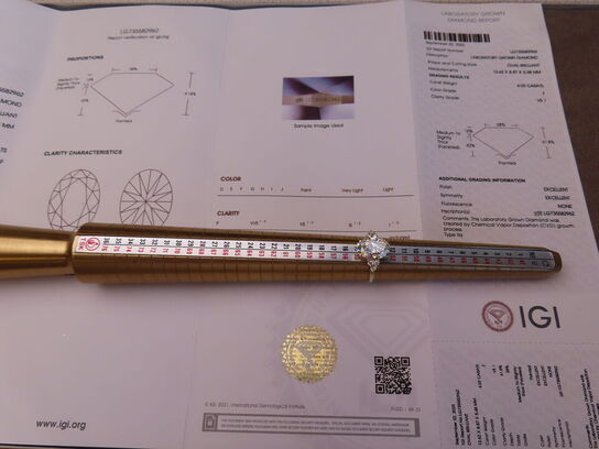 14 kt. Guldring med 4.03 ct. Briliantsleben Diamant